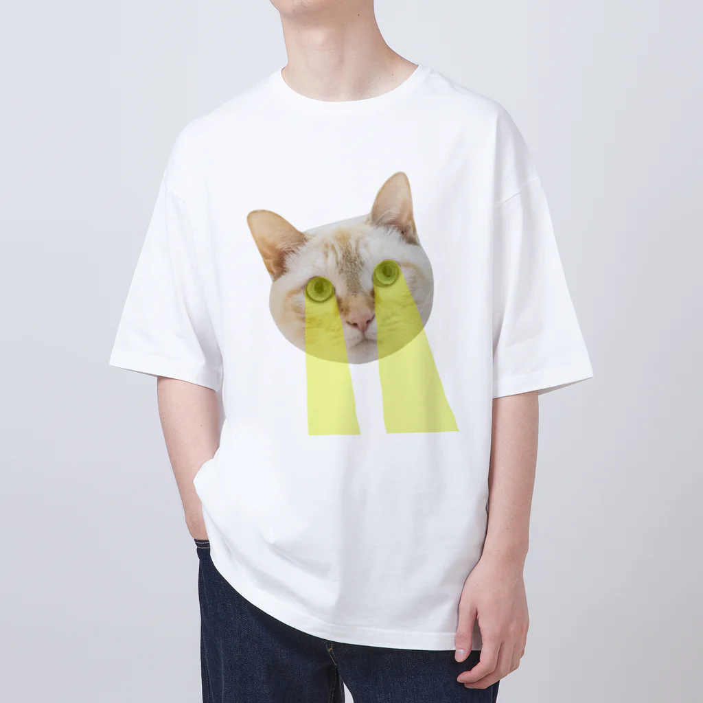ラストチャンス【AMIRI】コットン オーバーサイズ Ｔシャツ AMIRI(アミリ) - VINTAGE AMIRI OVERSIZED TEE Tシャツ | cherry
