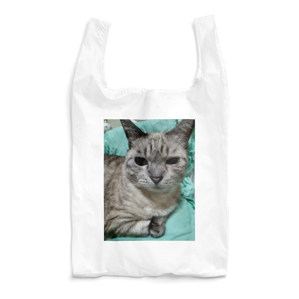 ねこの森でお散歩の微妙な顔をするかわいいシャムミックス Reusable Bag