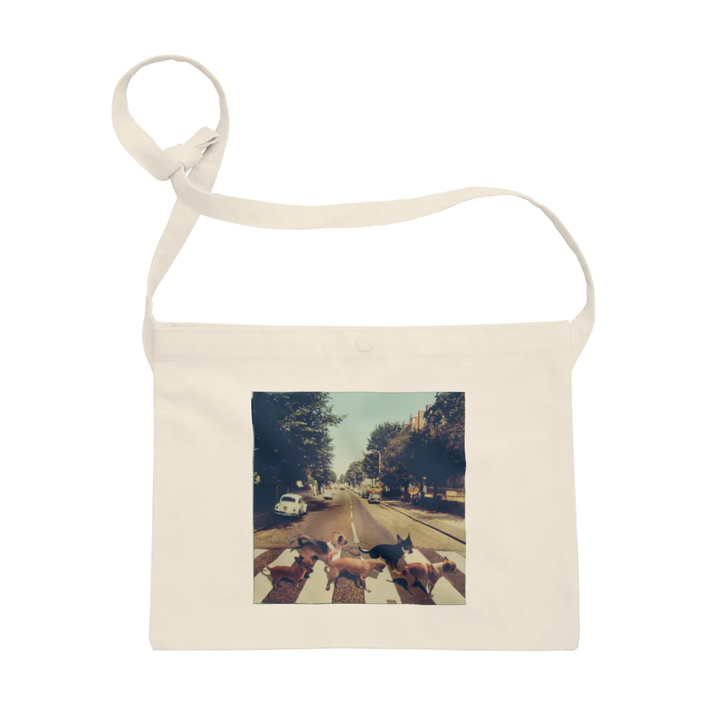 प्रकाश के बाहरのテスト Sacoche