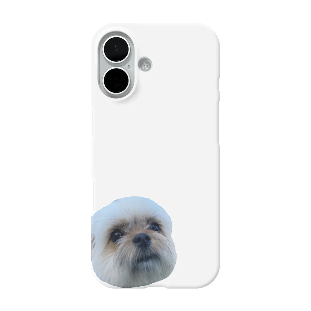 ポメラニアン×シーズーむーちゃんのポメシーむーちゃんスンッ iPhone Smartphone Case