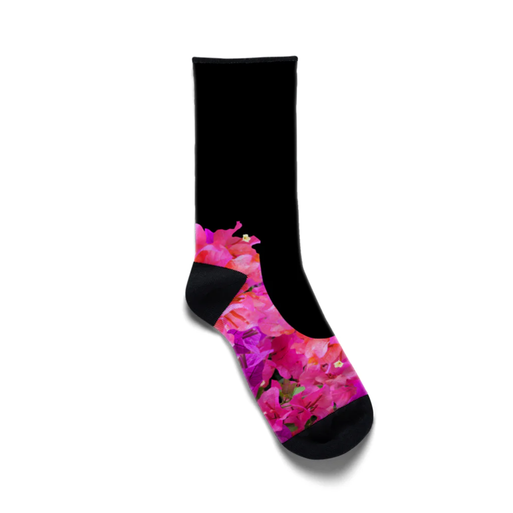 草原で走りたいのブーゲンビリアの靴 Socks