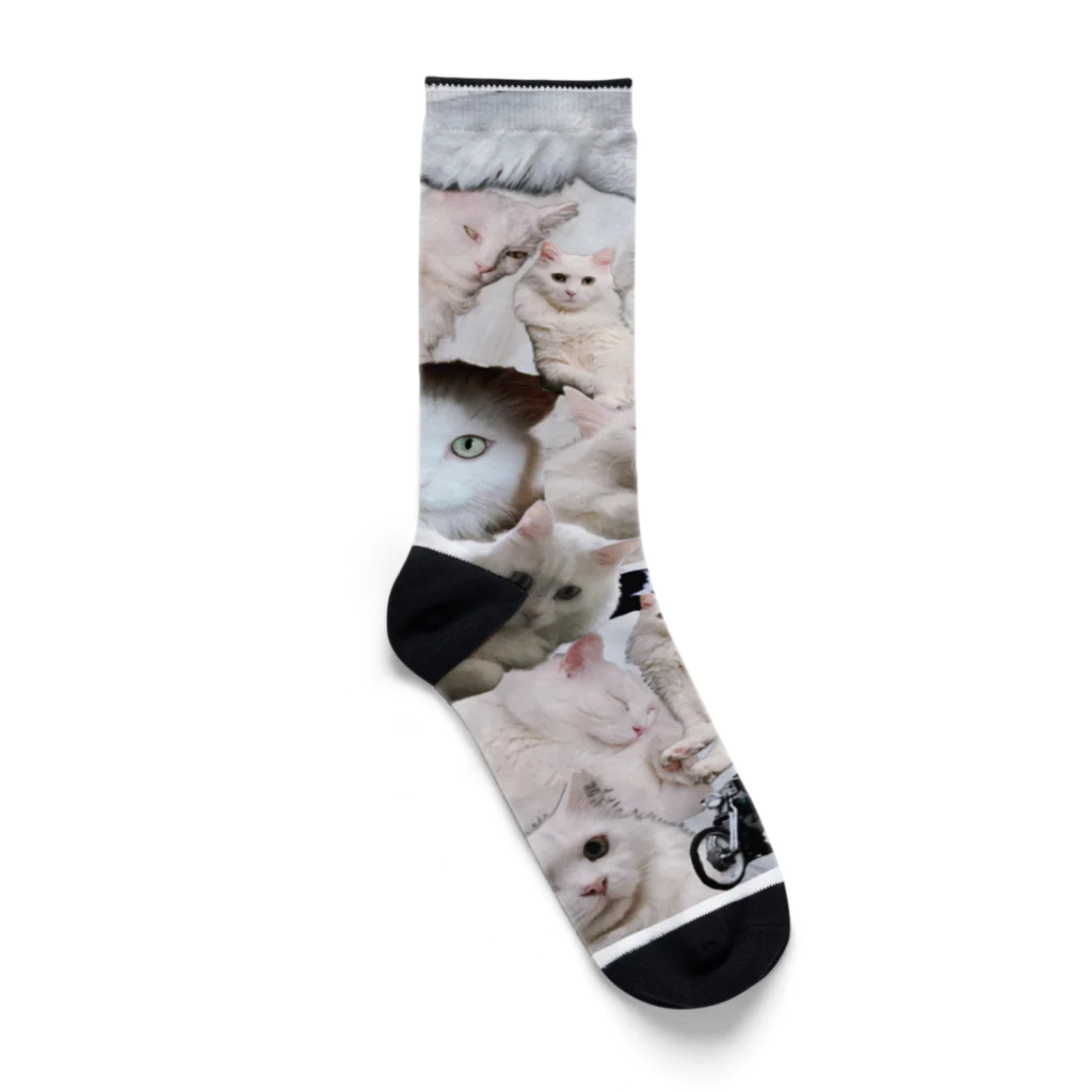美容室らるてのロビン靴下 Socks