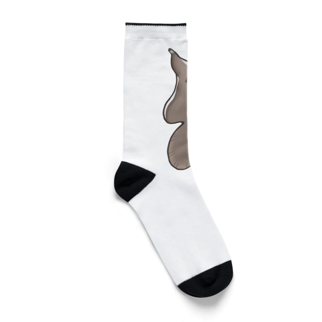ねずりすSHOPのはりつきモモンガ斜 Socks