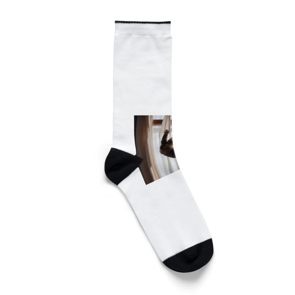 takeoutのカーテンにつかまっているネコ Socks