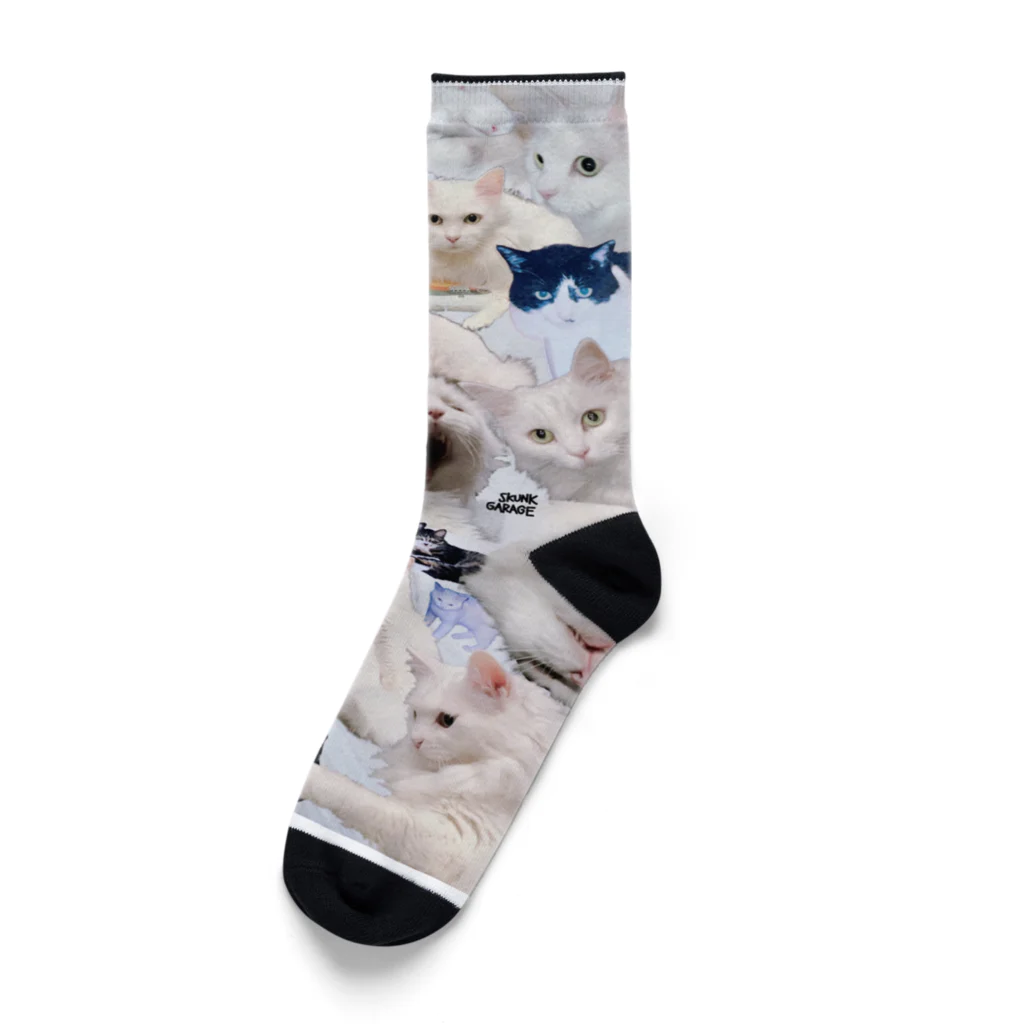 美容室らるてのロビン靴下 Socks