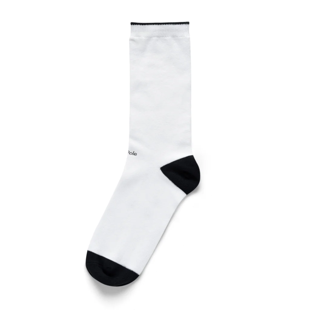 Arctic Bloom.のNorth Pole(ノースポール) Socks