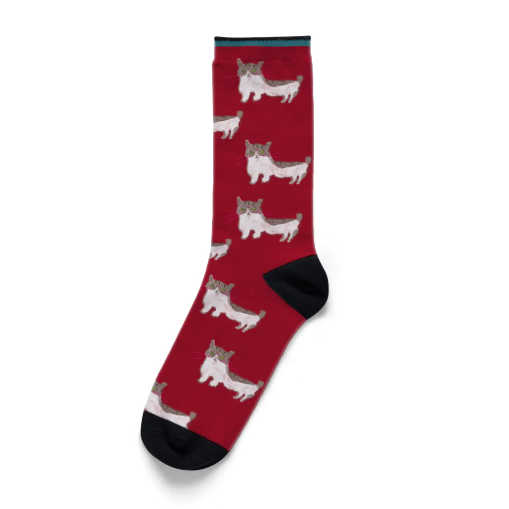 LOVE & Co. ラブコのお店のラブコの紅ちゃんソックス Socks
