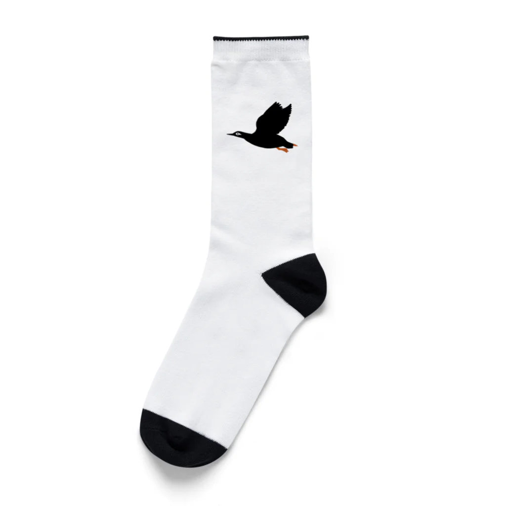知床ウトロ海域環境保全協議会のケイマフリ Socks