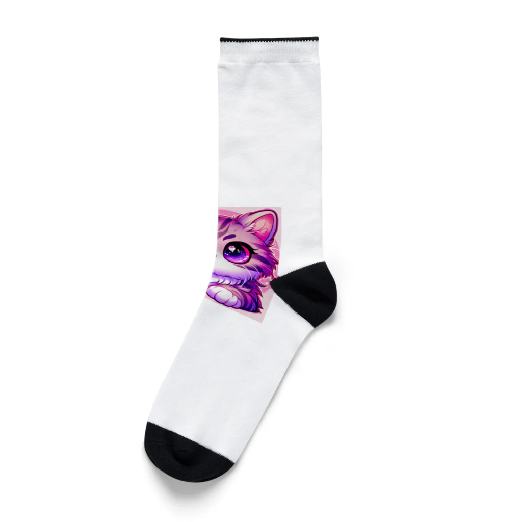 TOM24の些細な事でも興味津々アメショー”モモちゃん” Socks