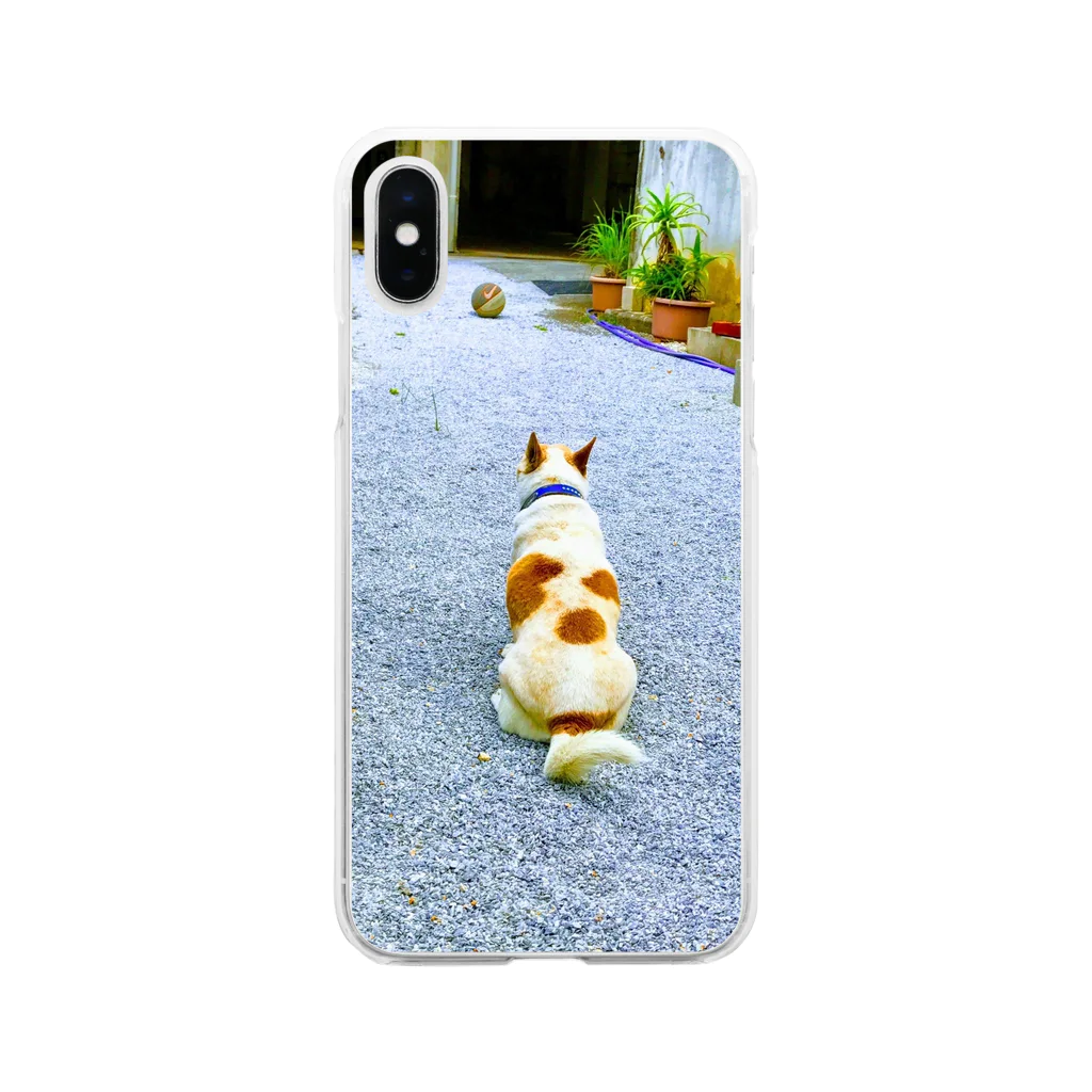 おかかのボールを見てそうなモカちゃん Soft Clear Smartphone Case