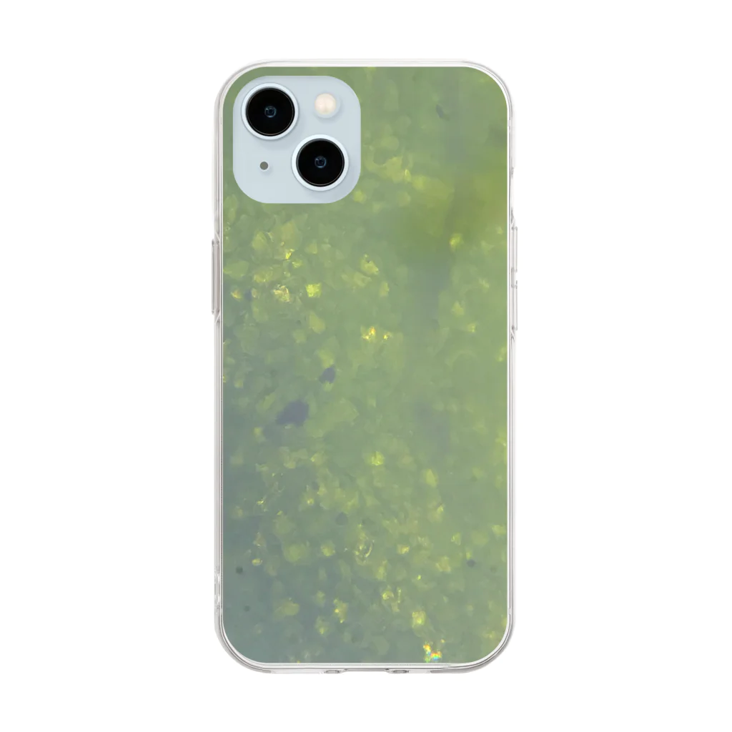 microplanets 顕微鏡アートを身につけるの顕微鏡で観察した、新宿の雑草 Soft Clear Smartphone Case