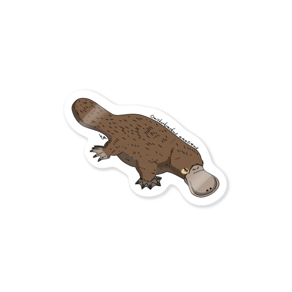 カモノハシ太郎です No. 27 カモノハシ ステッカー / 今もあの日の生物部 - グッズ販売班