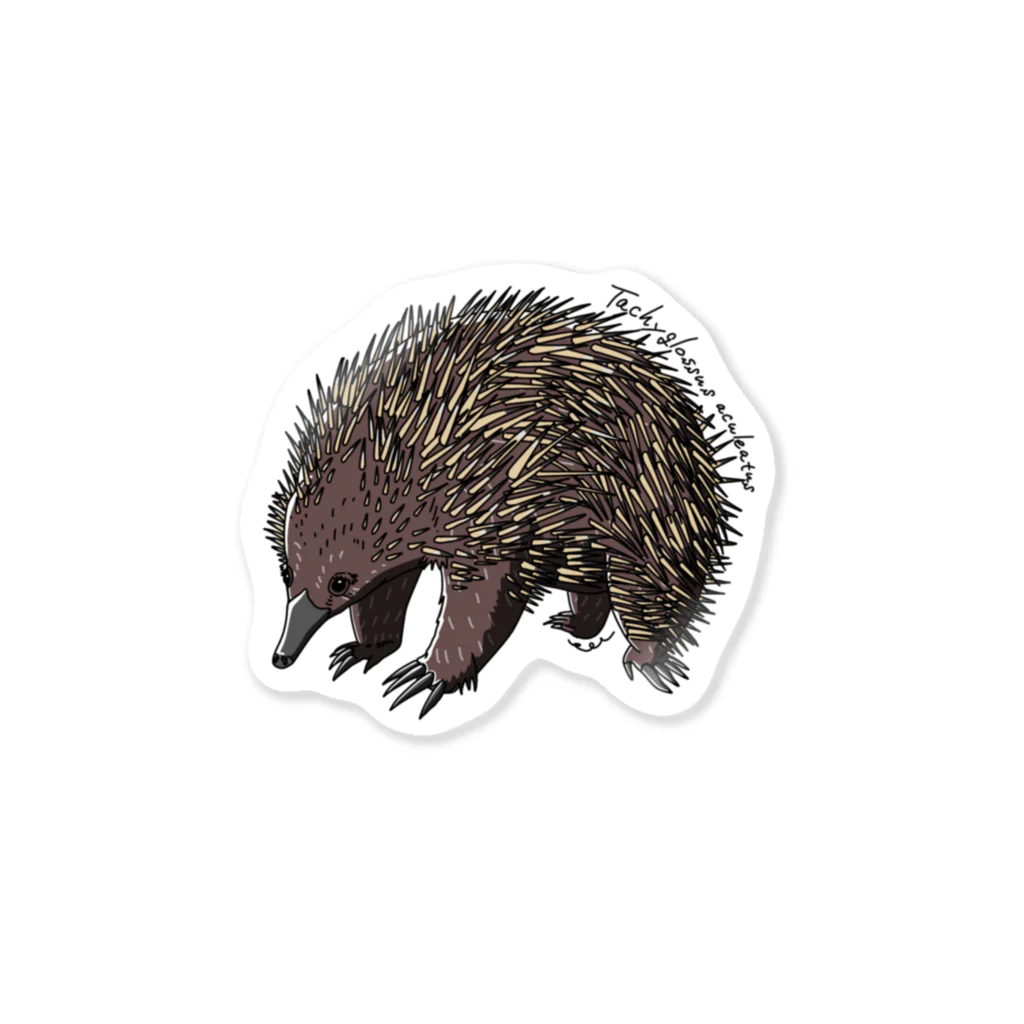 今もあの日の生物部 - グッズ販売班のNo. 60 ハリモグラ　ステッカー Sticker