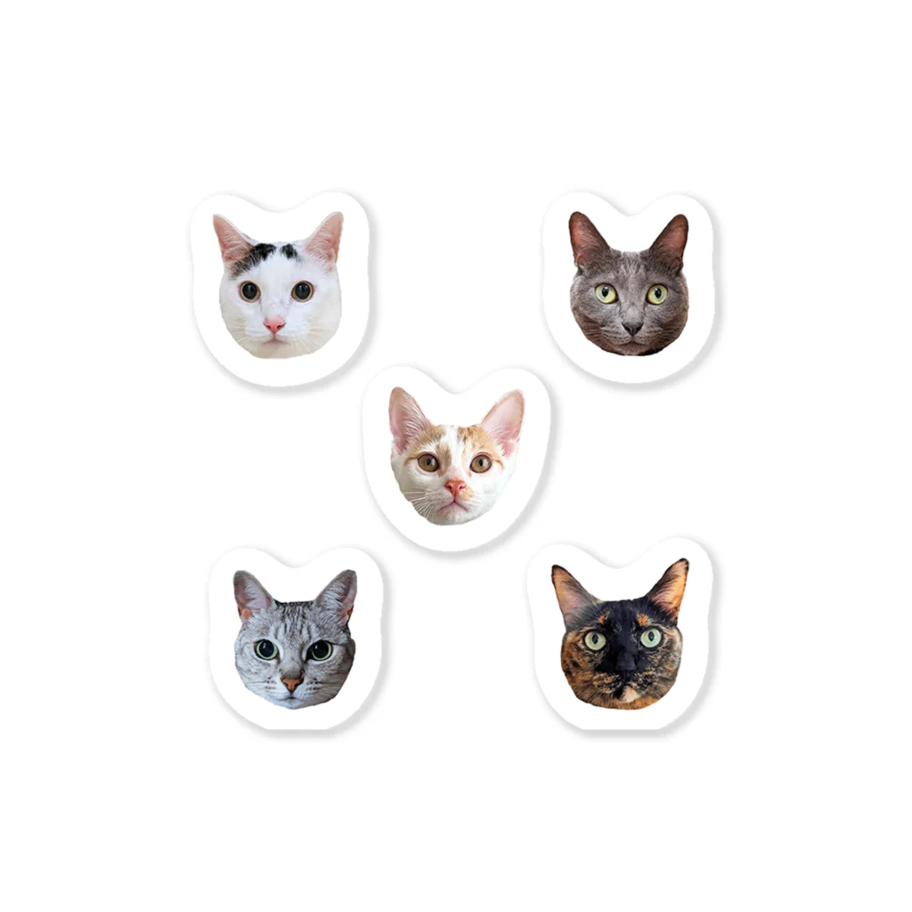 猫ひた サイン入りグッズ 小林 岡田 ７５０円 猫のひたいほどワイド 岡田翔大郎・小林希大 グッズ セット