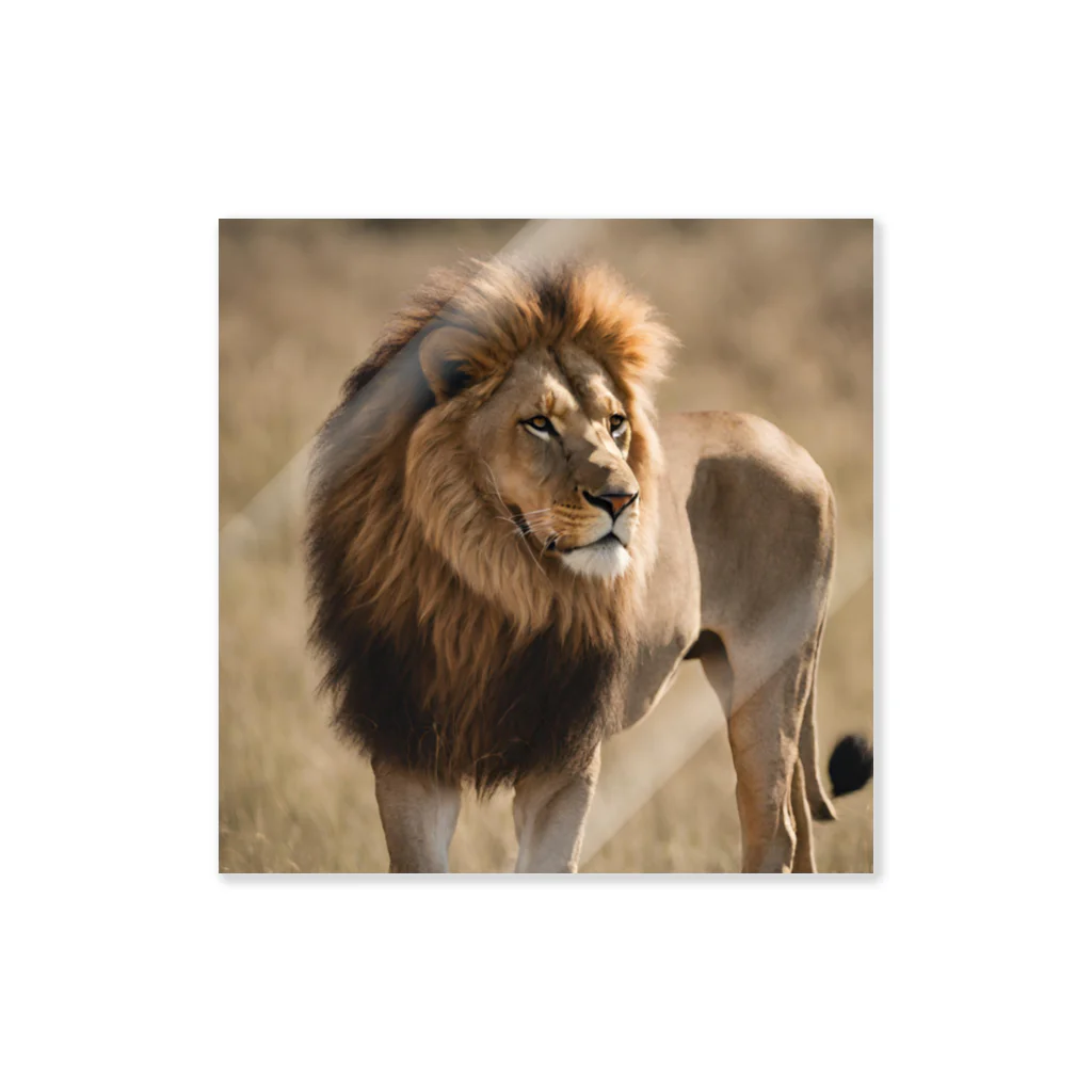 Lion pride before the fall ライオン写真集 Lion pride before the fall ライオン写真集