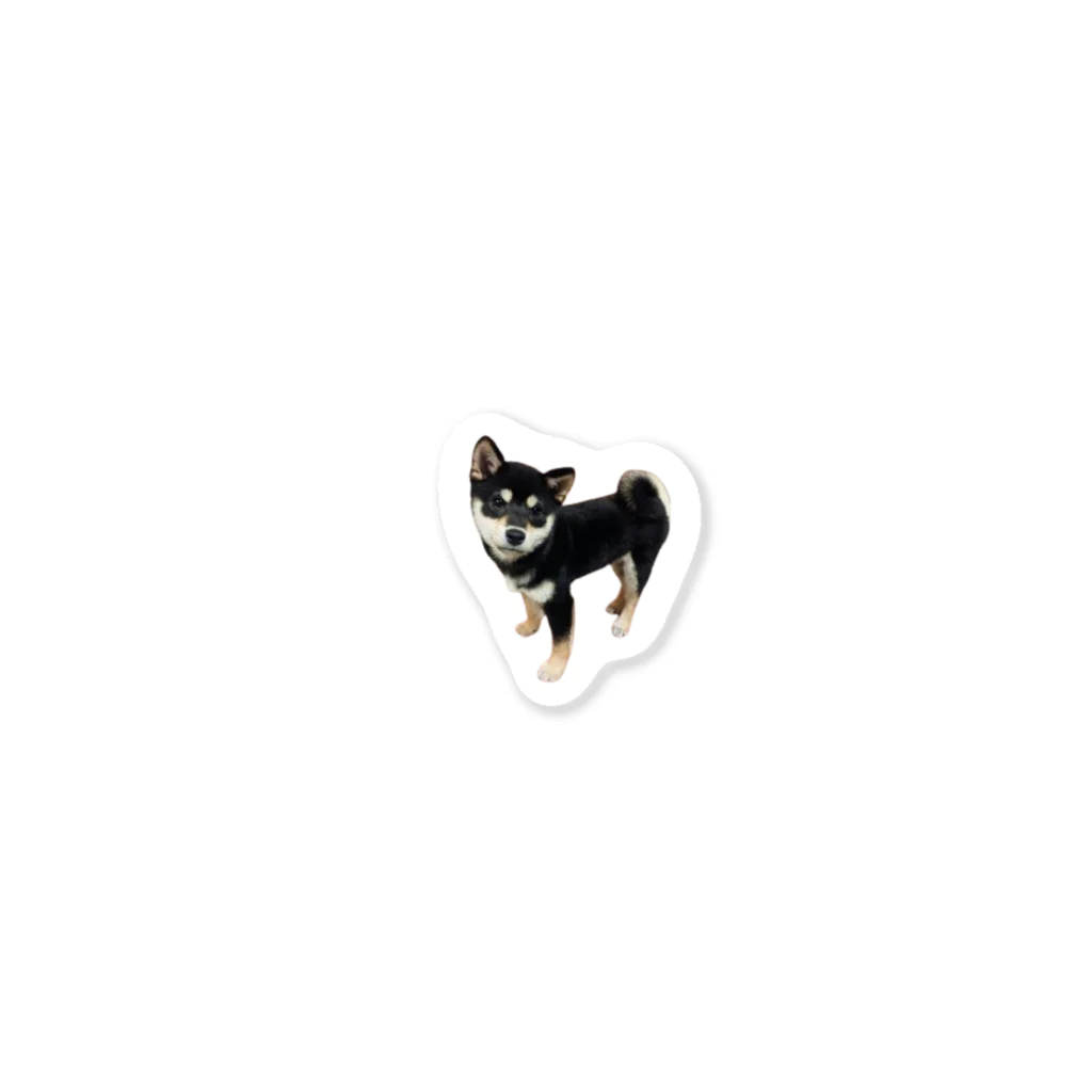 黒柴　ルー君の黒柴　ルー君 Sticker
