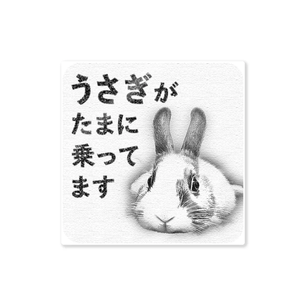 たまにうさぎがのってる・シロクロ / うさぎのミミのみせ