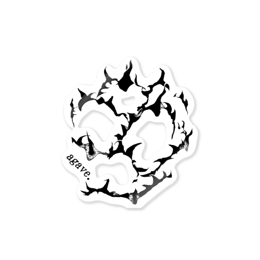 アガベ ブラック&ブルー titanota / Zen ( kameya10334729 )の