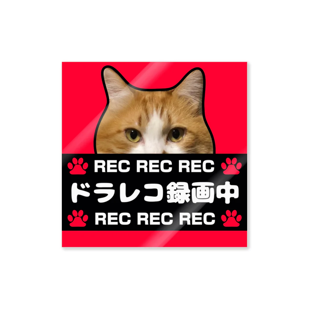 保護猫支援ショップ・パール女将のお宿のドラレコ録画中 人気No.1カラー✨ Sticker
