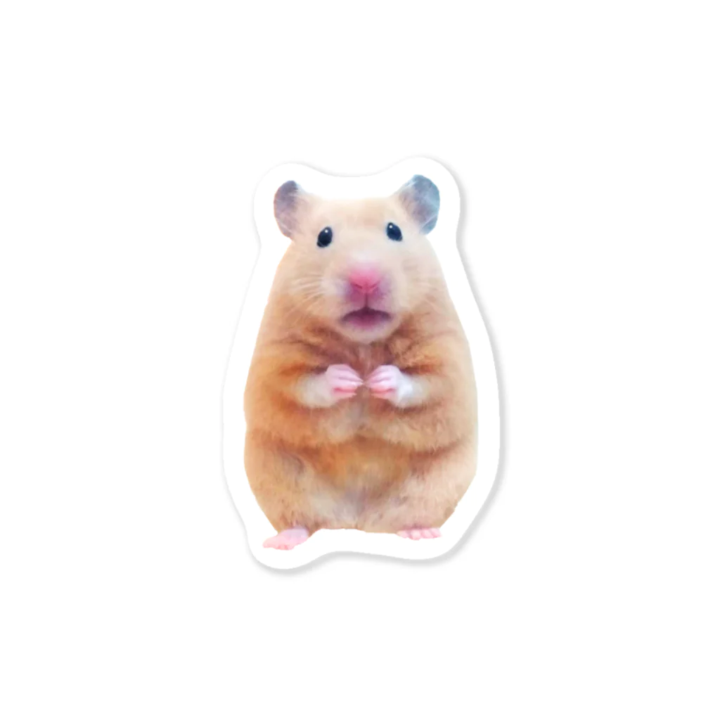ハムスター　デパコスまとめ売り はっしー🐹 on X: 