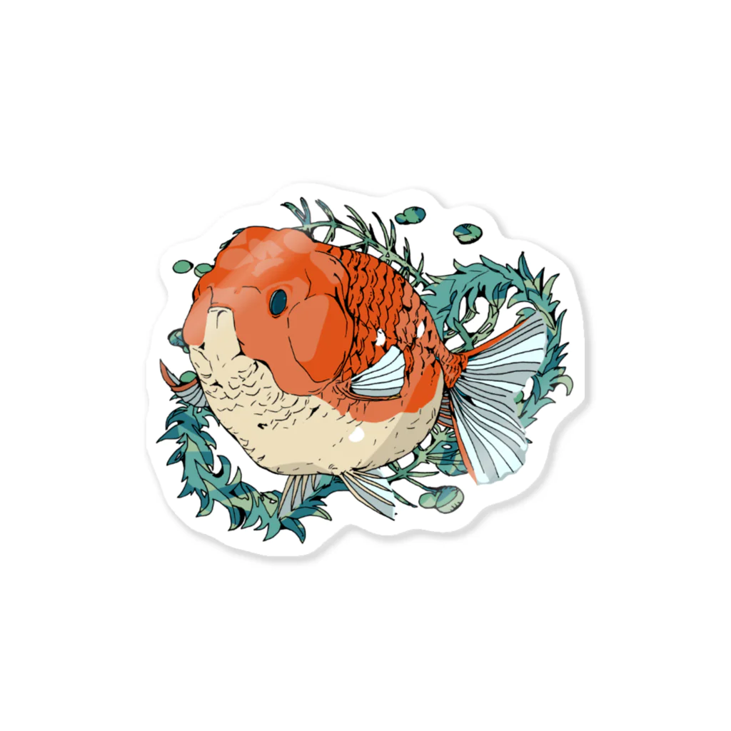 金魚（らんちゅう）ステッカー / 恒福水路 ( Mifuku )の