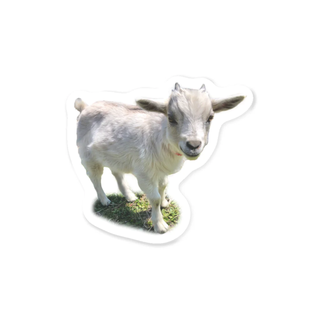ショップやぎかいのフワちゃん Sticker