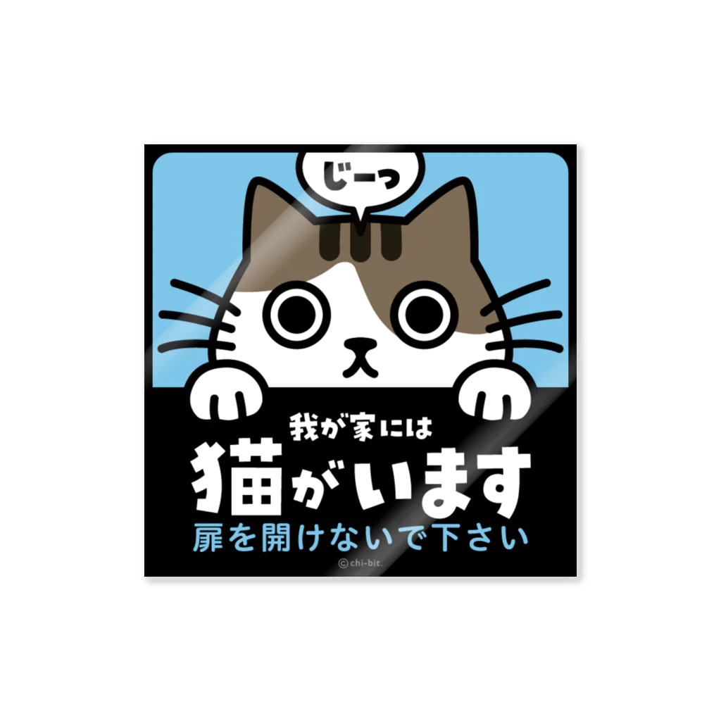 【だめねこページ】 じーっとみる猫・猫がいます(キジシロ・注意書きあり) / chi