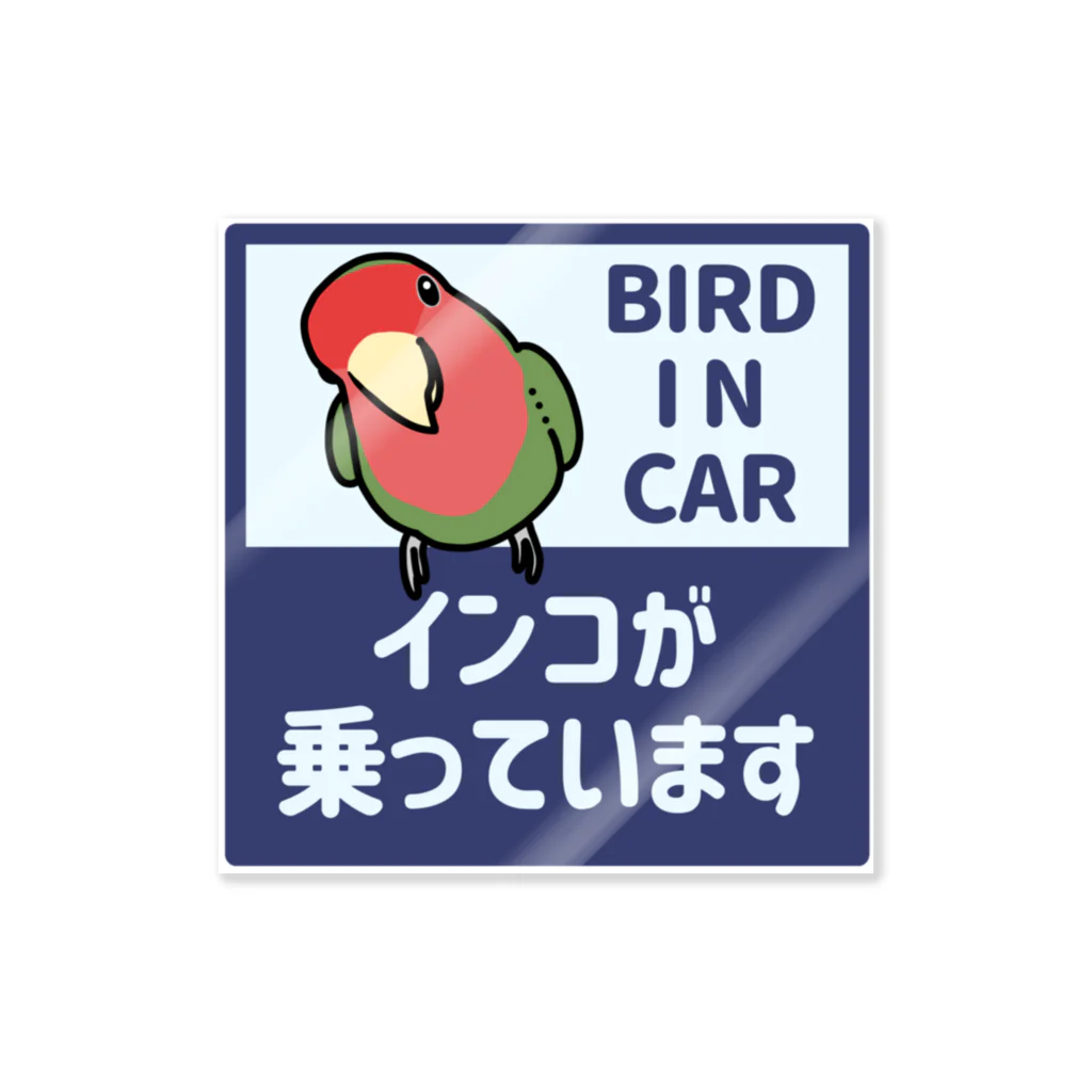 インコが車に乗っています/コザクラインコ（ノーマル） / 鱈乃