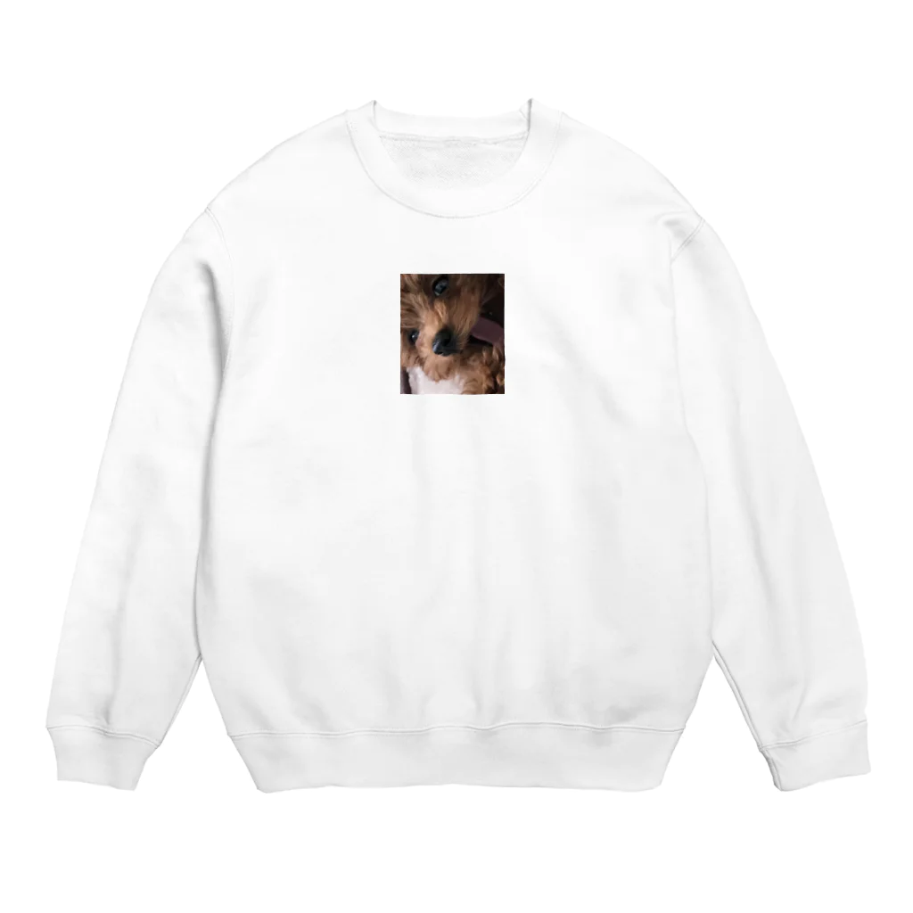 Kametyannのドアップちゃん Crew Neck Sweatshirt