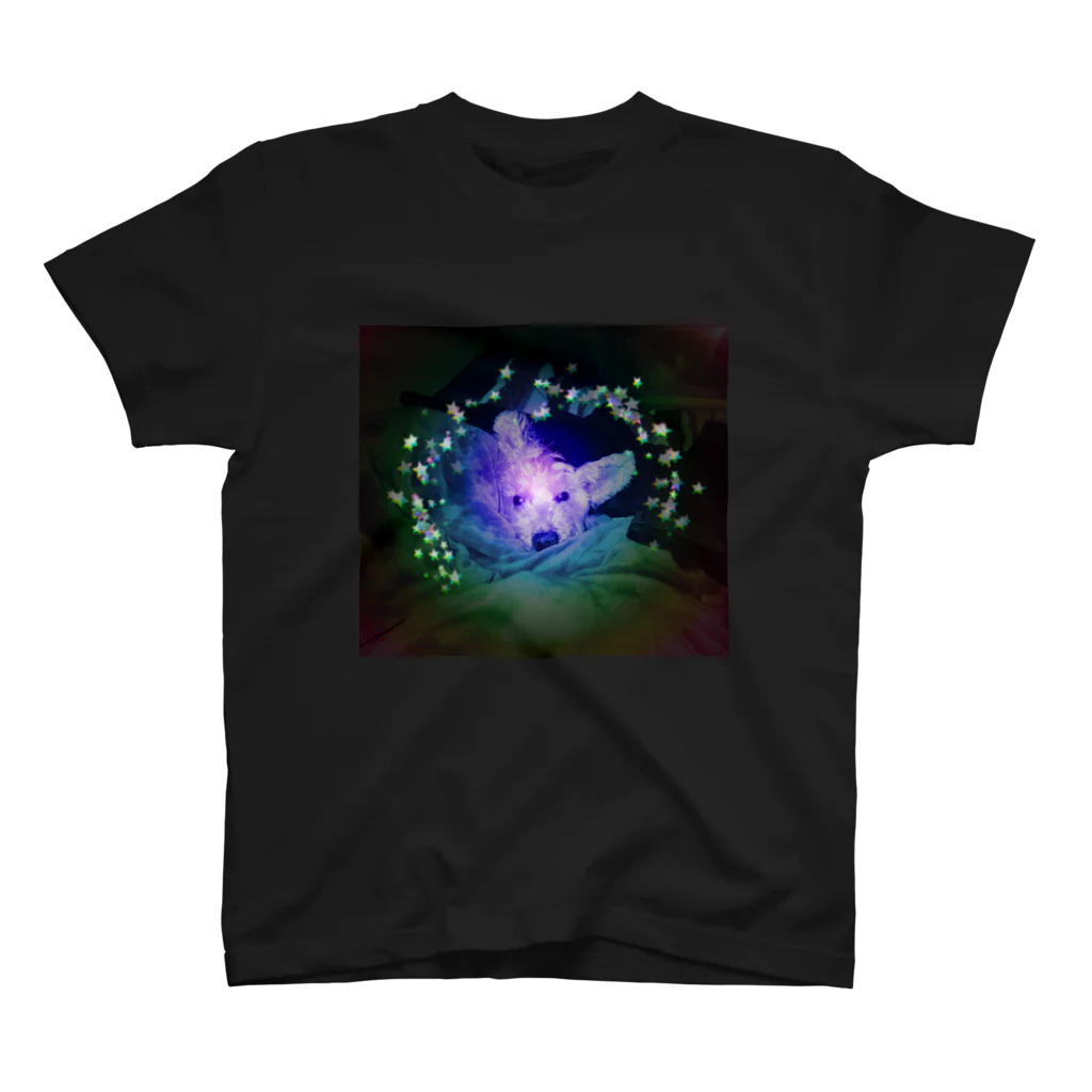 おかぴこのフィルムフォトrainbow Regular Fit T-Shirt