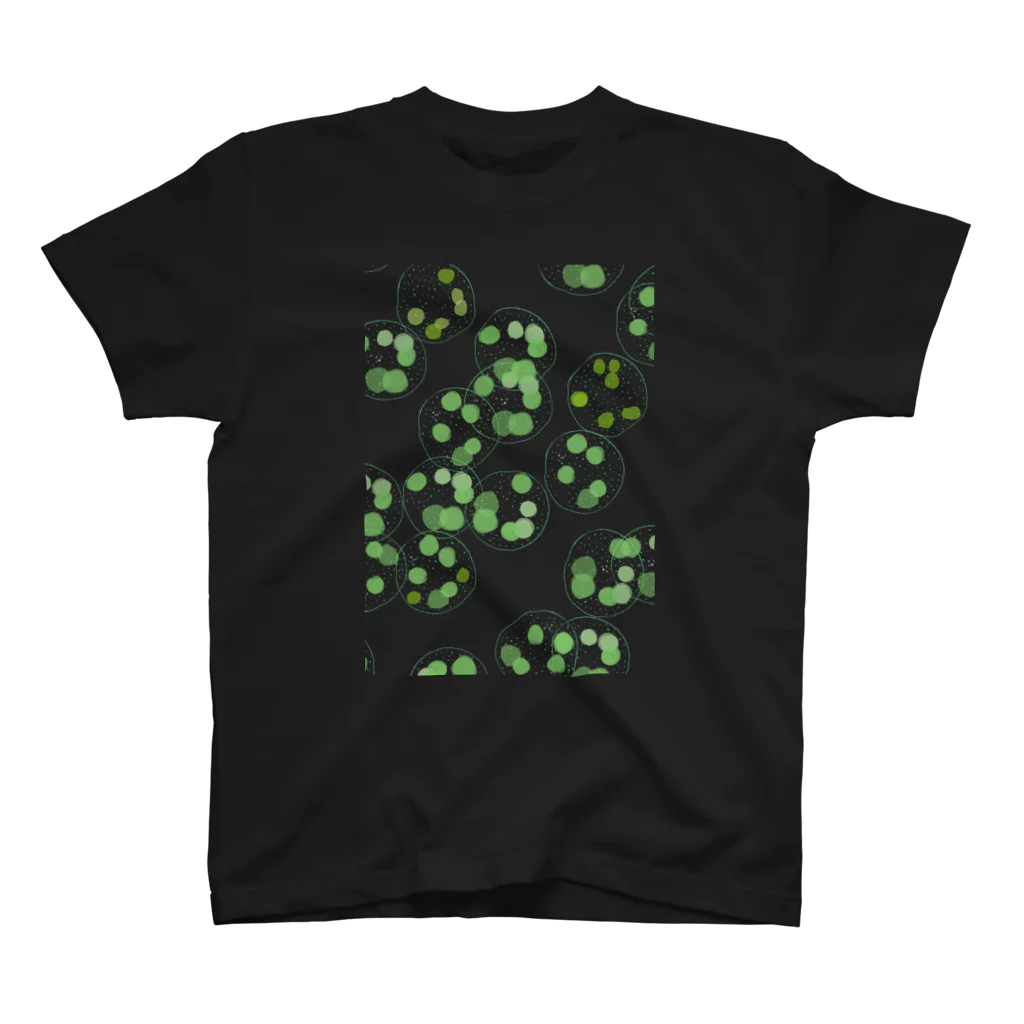トップス Momomo ボルボックス / ももろ ( momoro66 )のスタンダードTシャツ通販