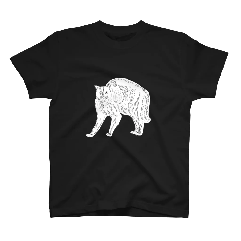 猫のダヤン　オーバーＴシャツ  Ｍサイズ~ＧＡＭＥ・ＫＨ~ オーバーT M GAME KH | わちふぃーるどオンラインショップ
