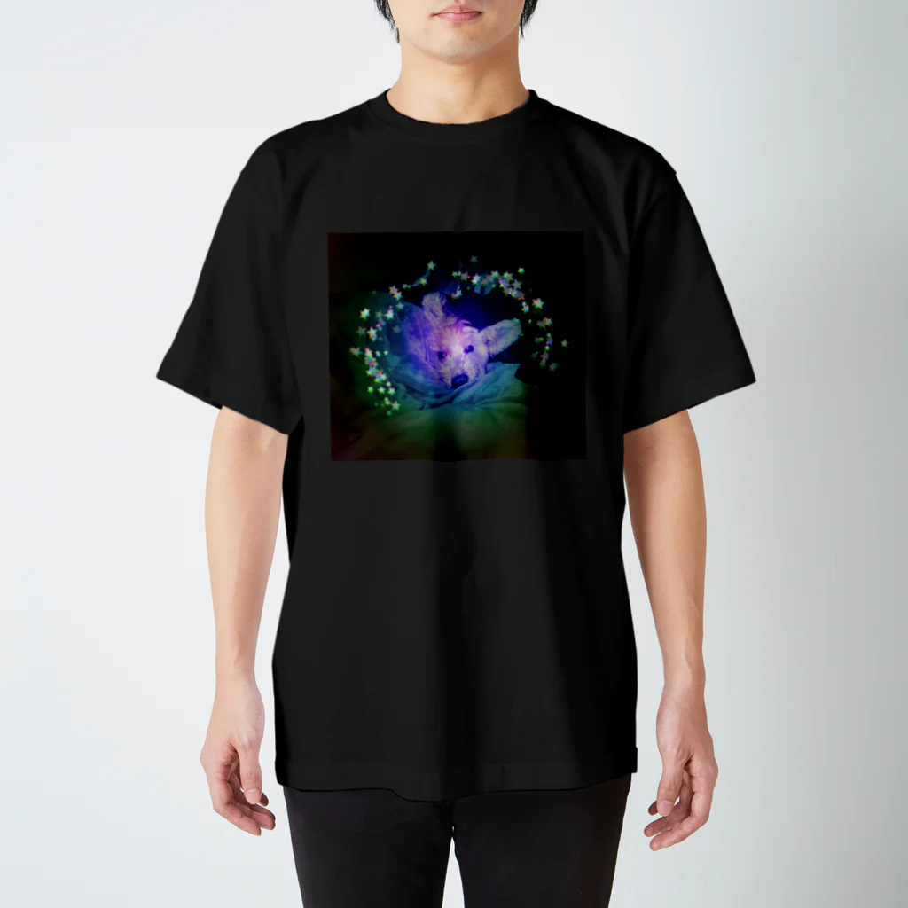おかぴこのフィルムフォトrainbow Regular Fit T-Shirt