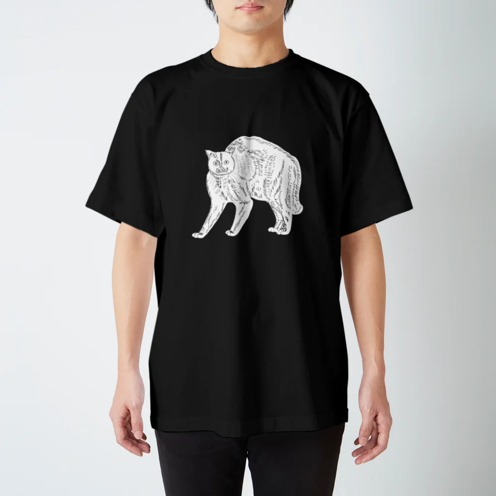 【新品未開封】FEEDER 猫の顔Tシャツ Lサイズ 楽天市場】猫の顔・サビ猫／長袖Tシャツ : MYDS 楽天市場店