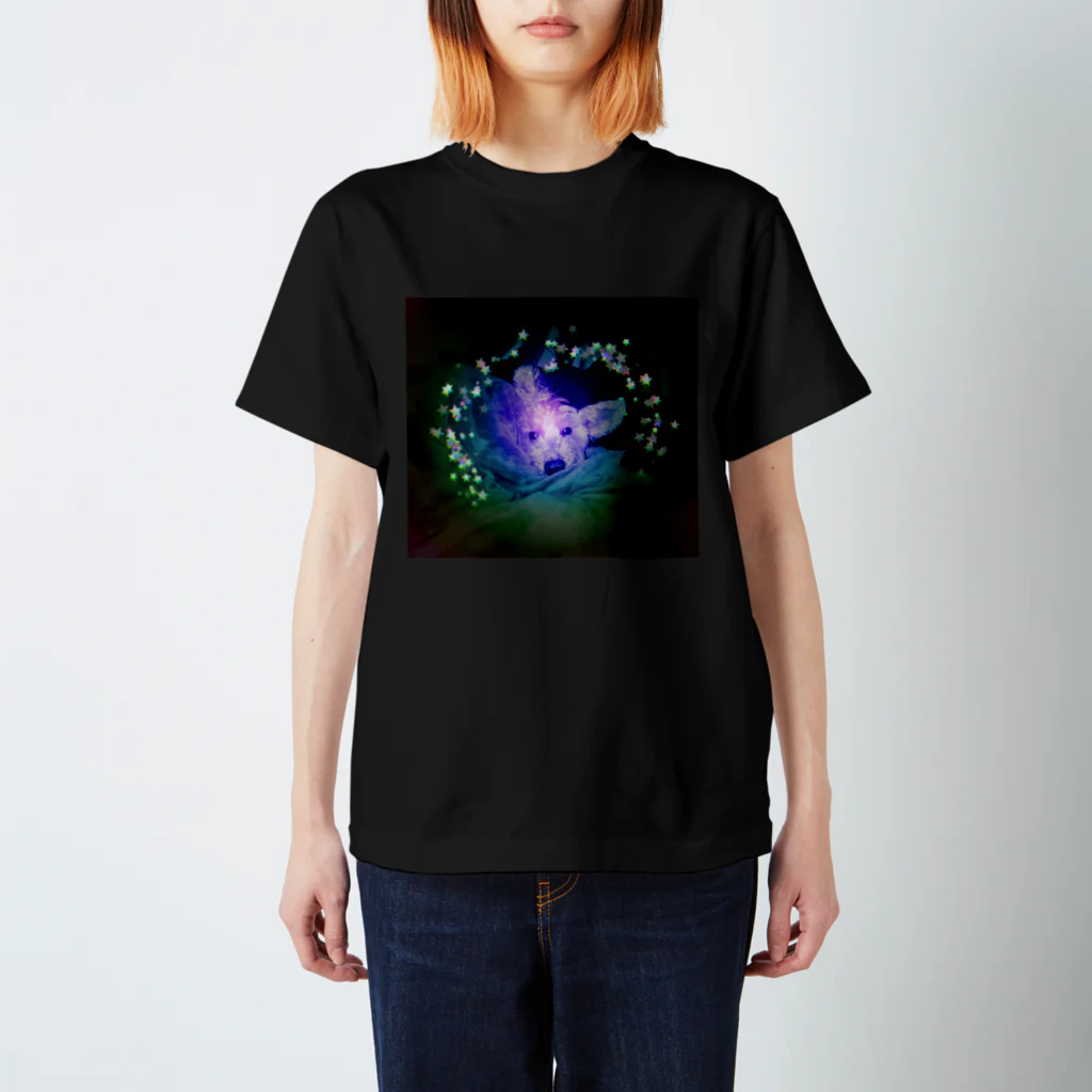 おかぴこのフィルムフォトrainbow Regular Fit T-Shirt