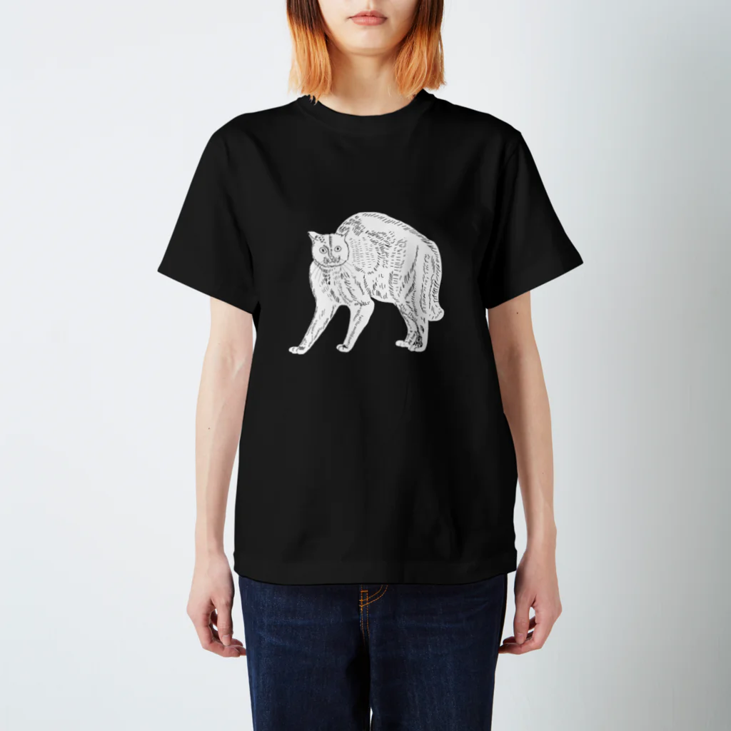 やんのかステップの猫 ホワイト Regular Fit T-Shirt by 小鳥と