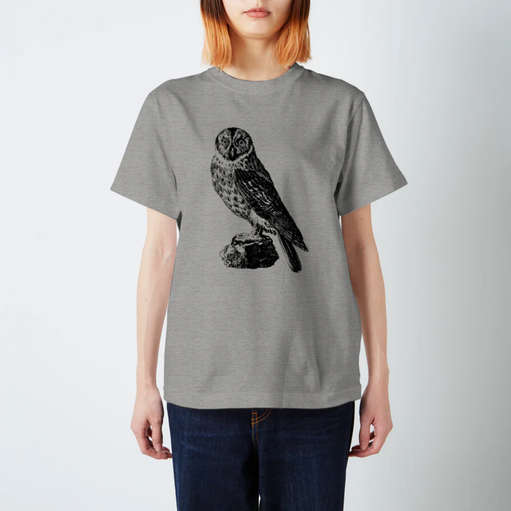 古書　天牛書店のフクロウ＜アンティーク・プリント＞ Regular Fit T-Shirt