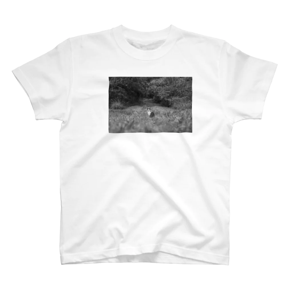 NEKOTORU（ねことる）のNagi mono Regular Fit T-Shirt
