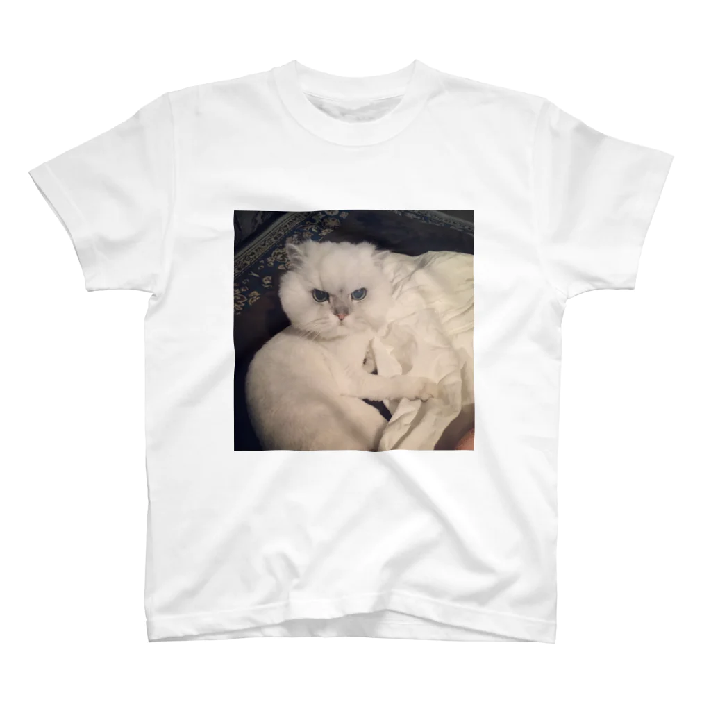 あめ☆りあのまお(あたまでかい) Regular Fit T-Shirt
