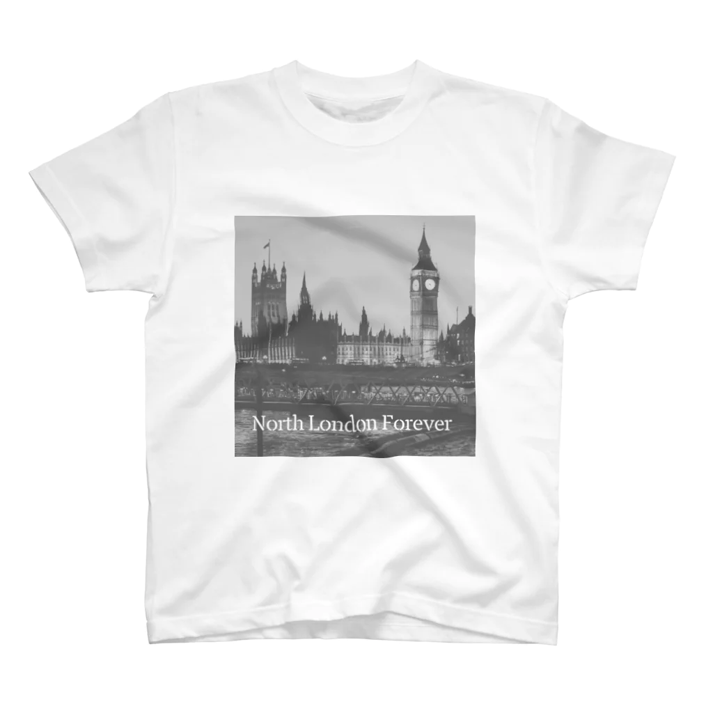 Design UKのノースロンドングラフィック Regular Fit T-Shirt