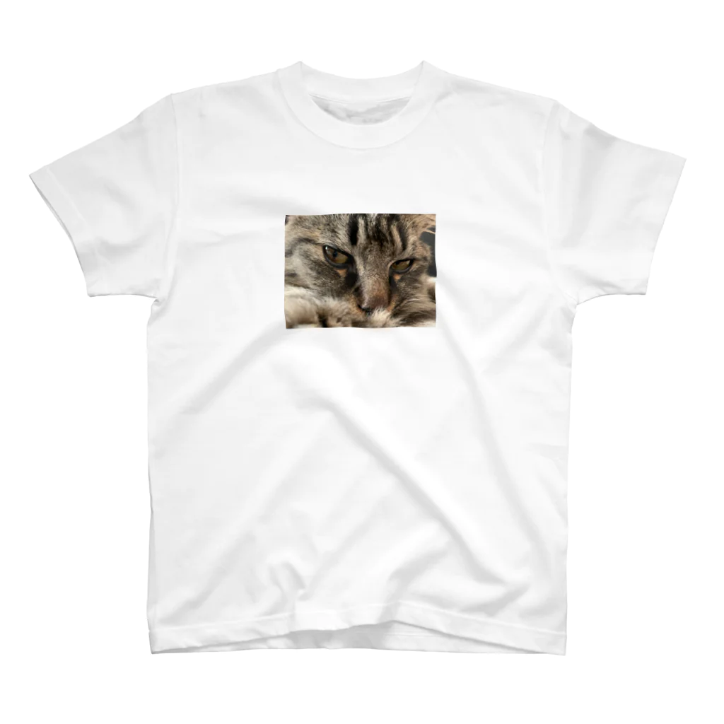 【AtSA】いしそら(るくでぃ)のe Regular Fit T-Shirt
