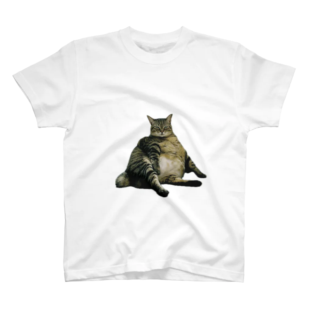 currycurryaoの頼もしいあきら文字なし Regular Fit T-Shirt