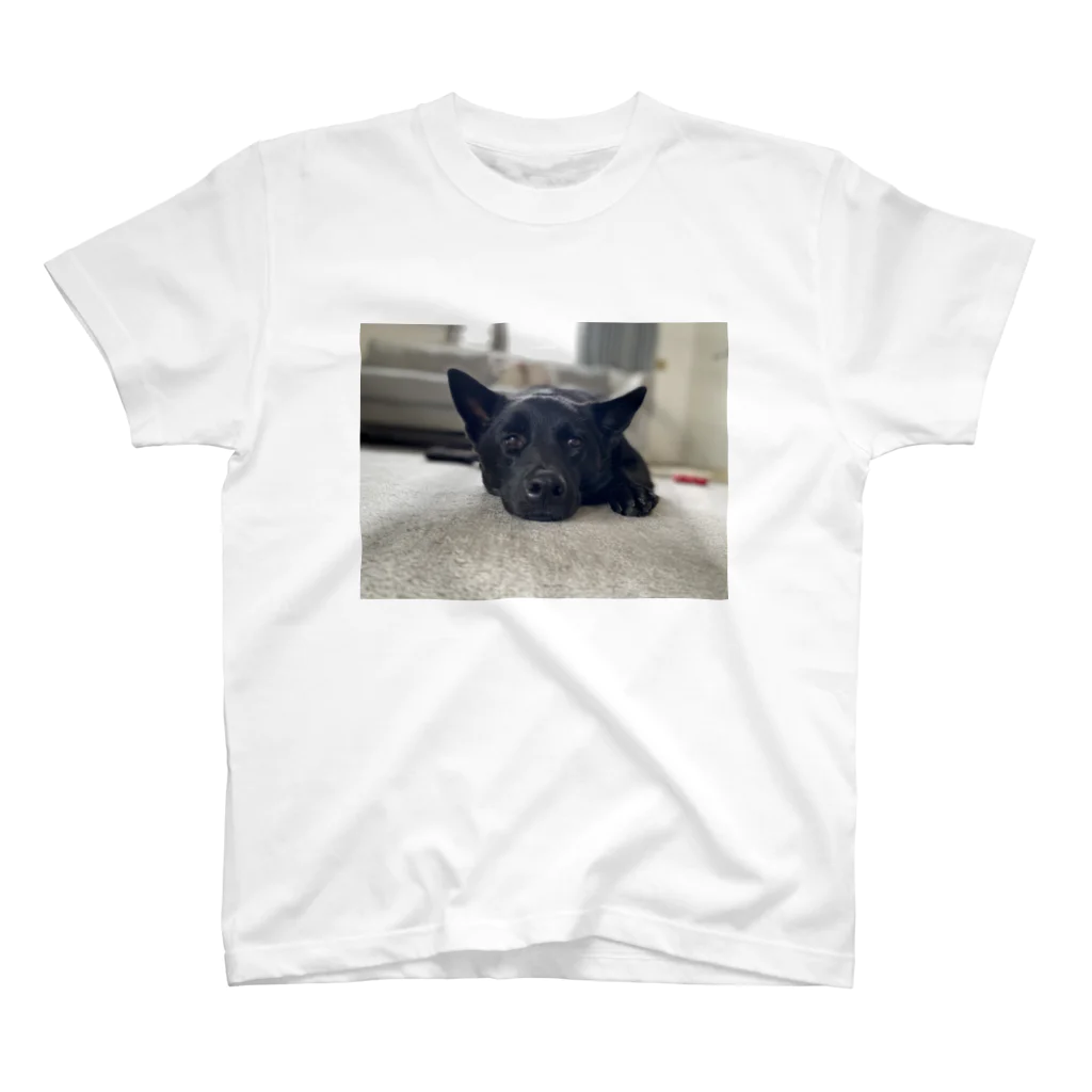 OUR VEGETABLEのMADOROMUGI Regular Fit T-Shirt