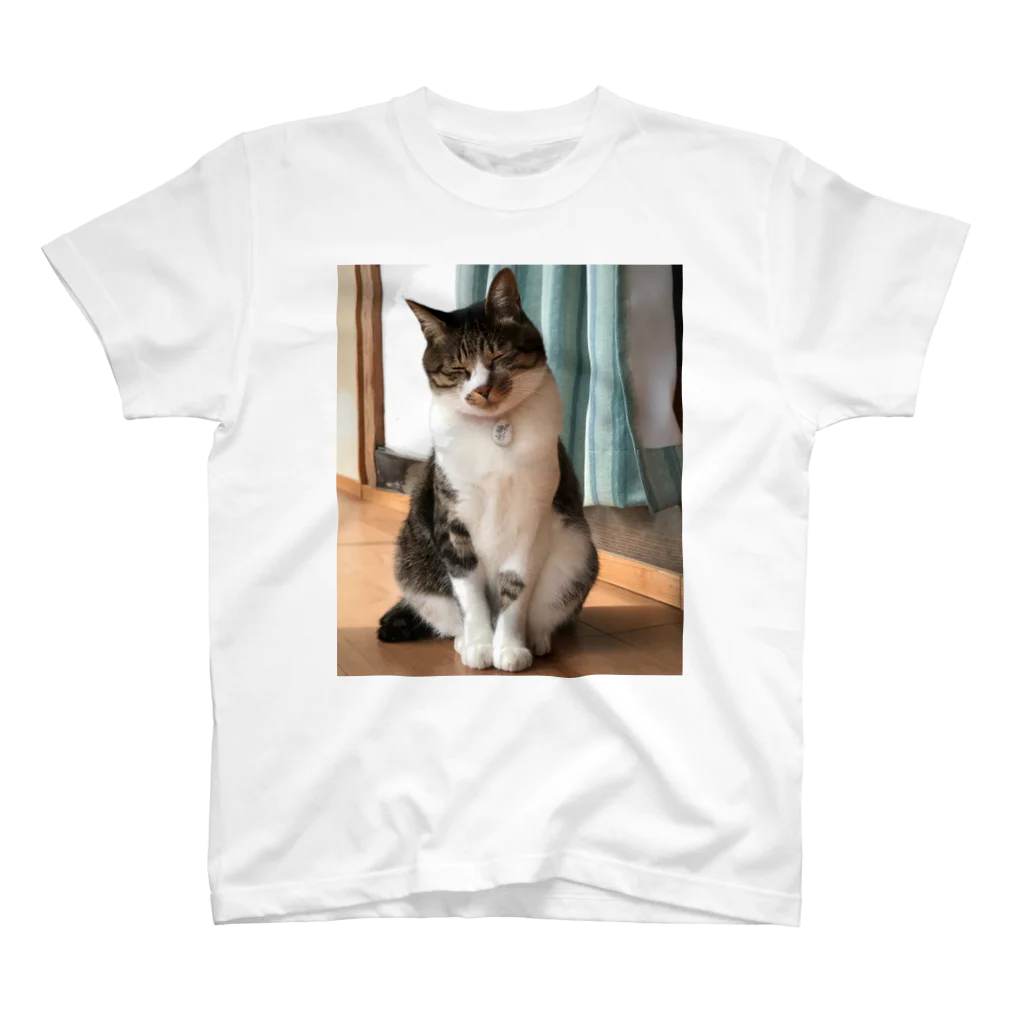 キャットネコ猫（実写） / Yamawaki17のスタンダードTシャツ通販