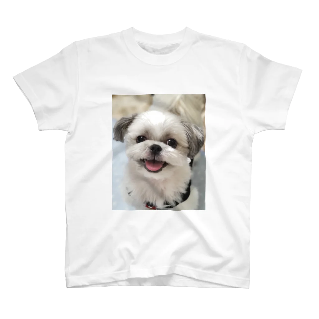 シーズー　ししまる＆ちゃちゃまるのシーズーししまる Regular Fit T-Shirt