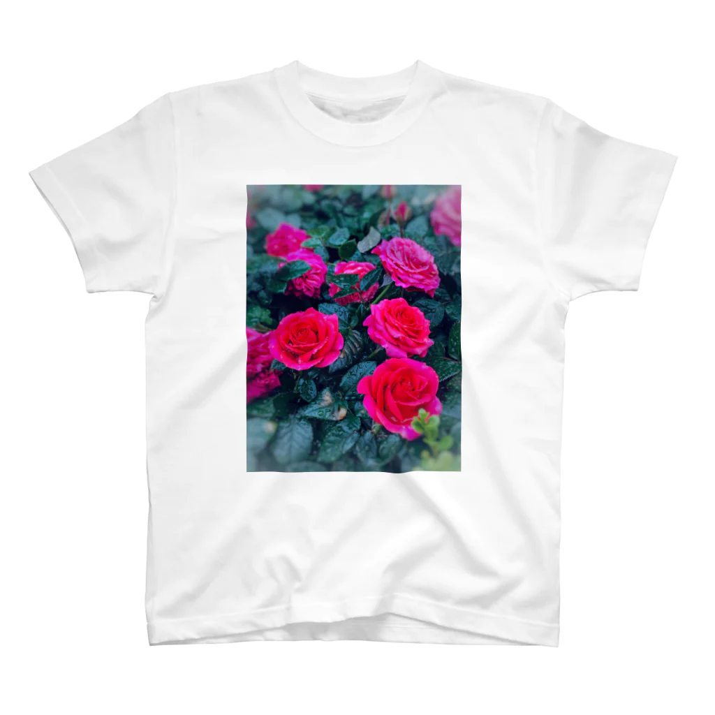 ナスタチウムのお花図鑑の雨の日のバラの世界 Regular Fit T-Shirt