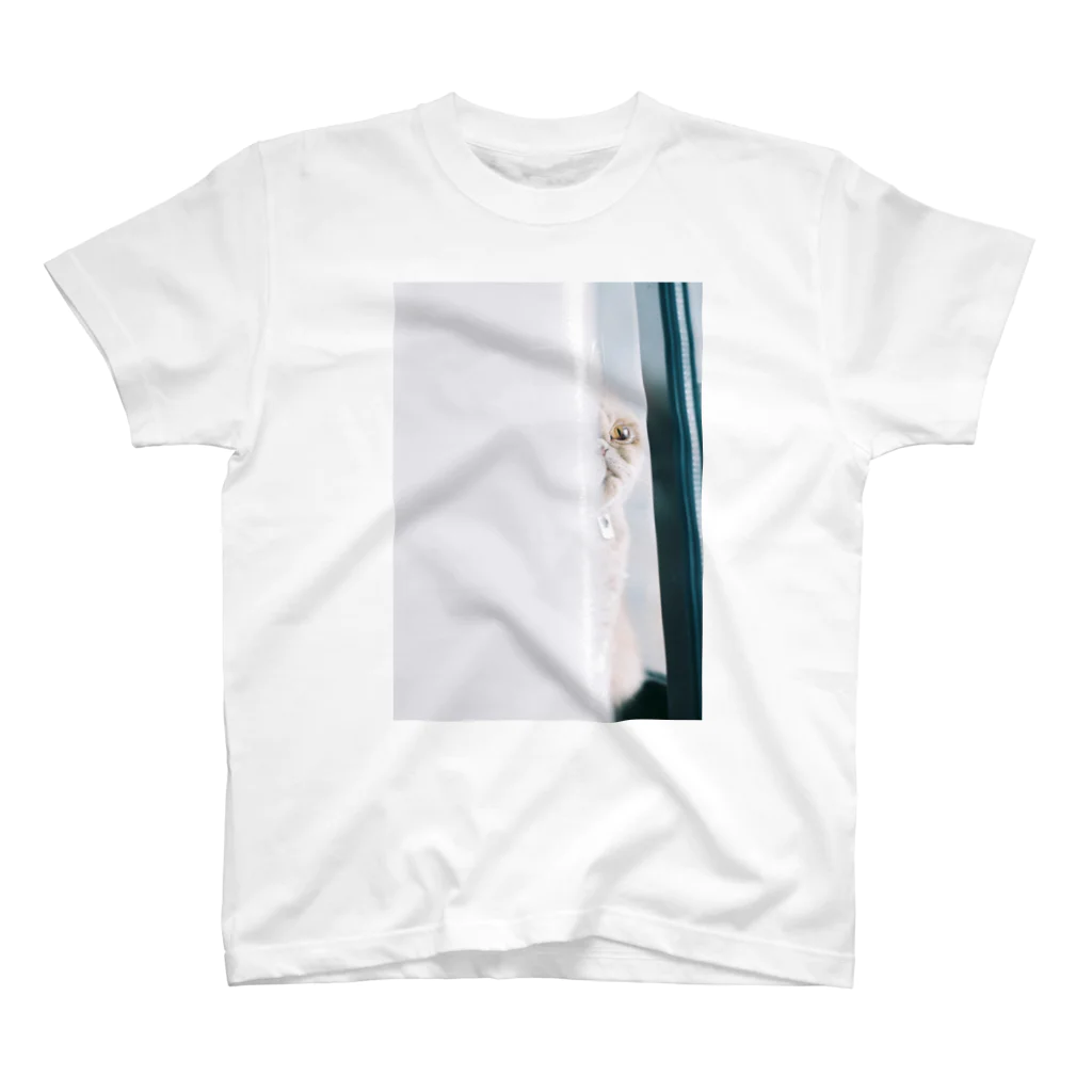 hakusanmarqshopのすきまからまるちゃん Regular Fit T-Shirt