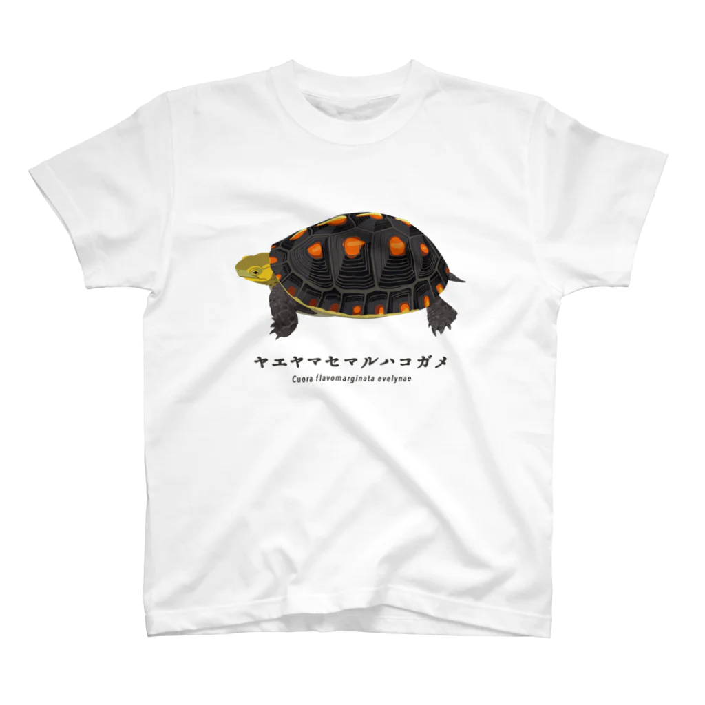 tamago様ご確認くださいm(_ _)m ヤエヤマセマルハコガメ / さちこの生物雑貨 ( morisachi713 )の