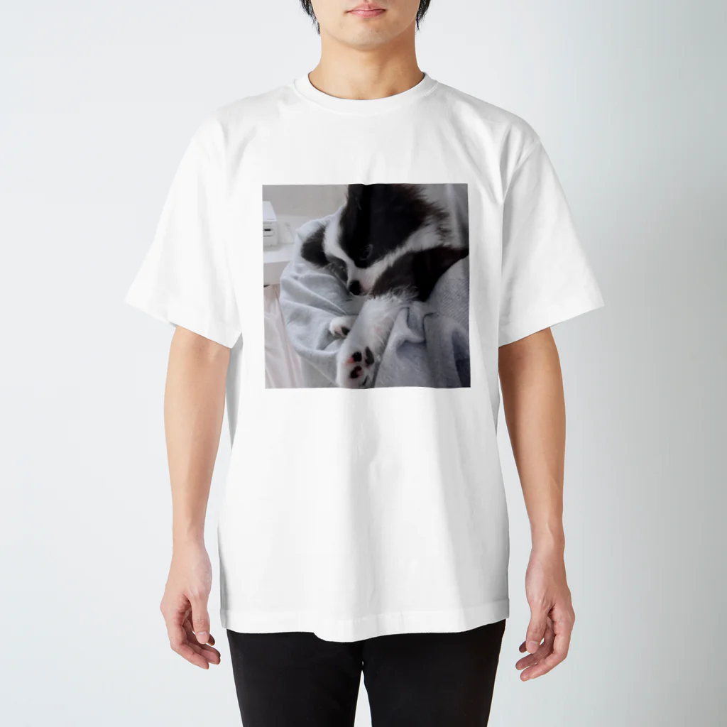 あるちゃんさん屋さんのかわいい肉球 Regular Fit T-Shirt