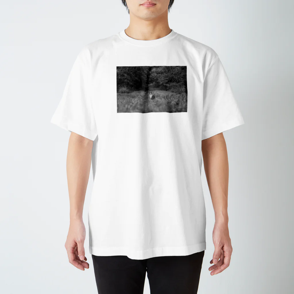 NEKOTORU（ねことる）のNagi mono Regular Fit T-Shirt